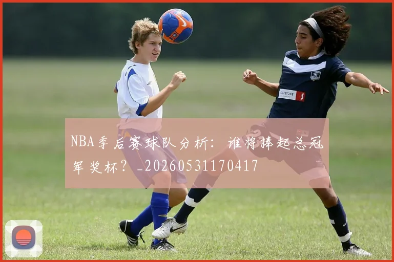 NBA季后赛球队分析：谁将捧起总冠军奖杯？_20260531170417